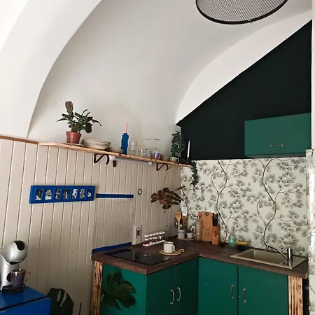 Vintage With Garden View Apartment