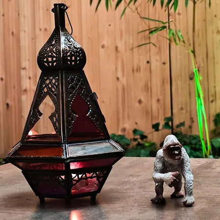 Appartamento Vintage With Garden View