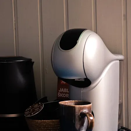 Vintage With Garden View Appartamento Bratislava