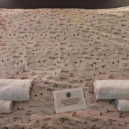 Vintage With Garden View *