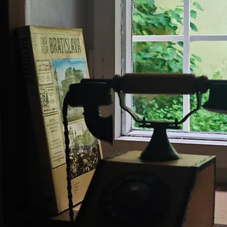 Vintage With Garden View *