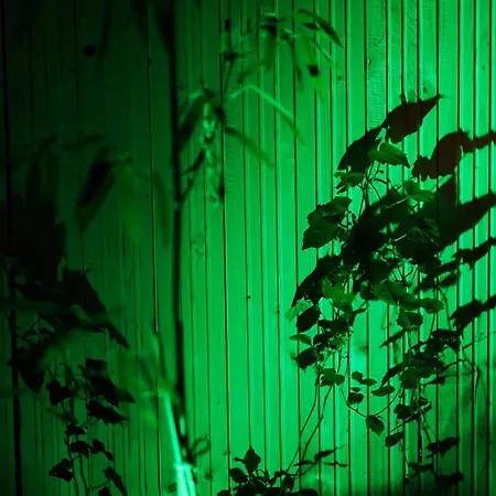 Vintage With Garden View * Bratislava