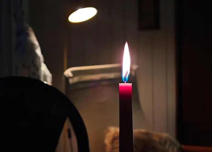 Vintage With Garden View *