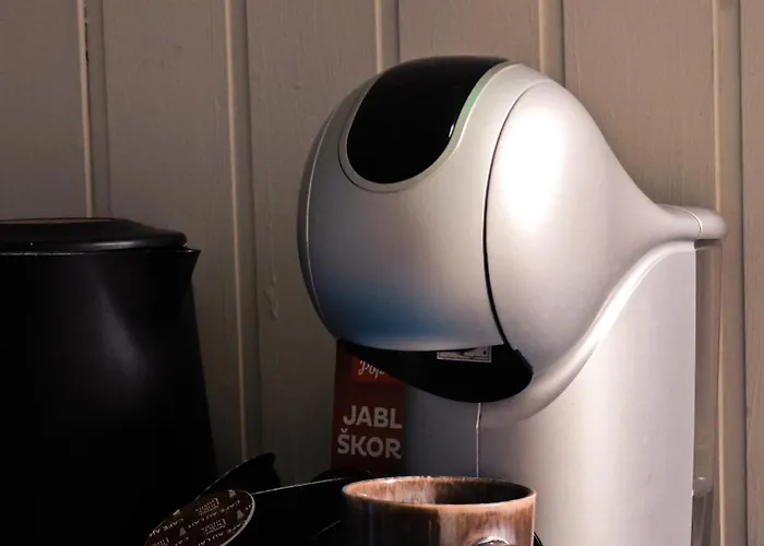 Vintage With Garden View شقة براتسيلافا