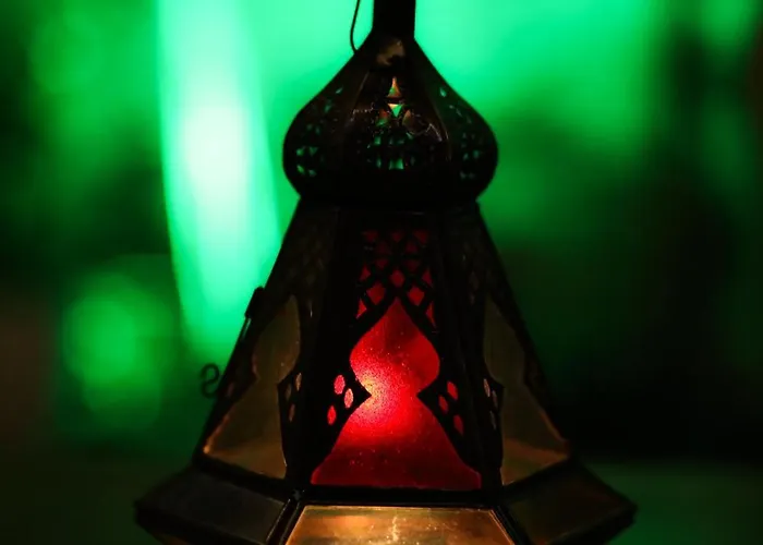 Vintage With Garden View شقة