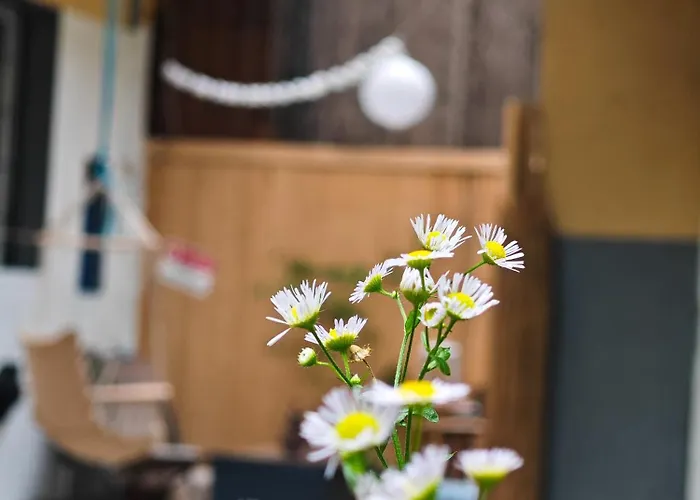 شقة Vintage With Garden View *