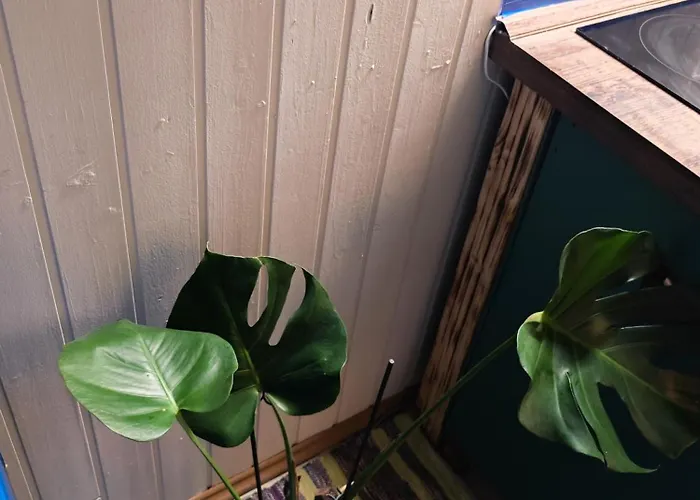 شقة Vintage With Garden View