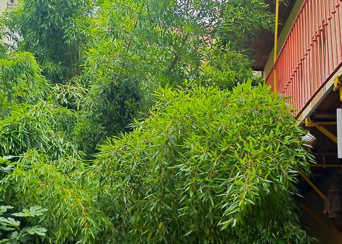 Vintage With Garden View براتسيلافا