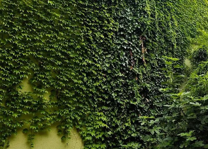 شقة Vintage With Garden View