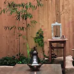 Vintage With Garden View 布拉迪斯拉发