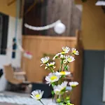 公寓 Vintage With Garden View *