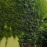 公寓 Vintage With Garden View