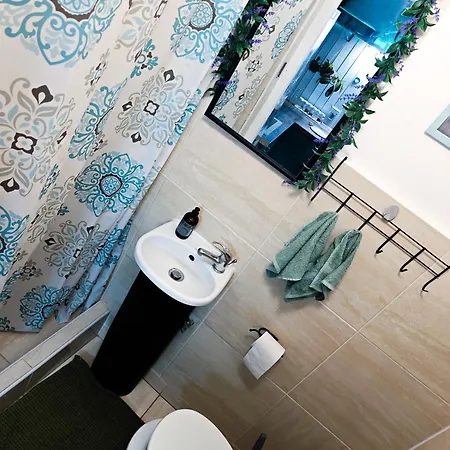 Apartman Vintage With Garden View *