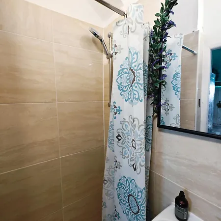 Apartman Vintage With Garden View