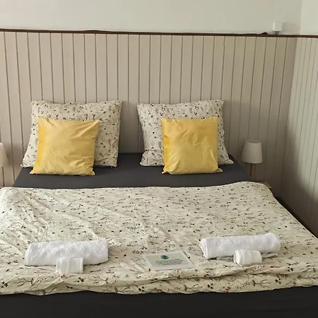 Vintage With Garden View Apartment *