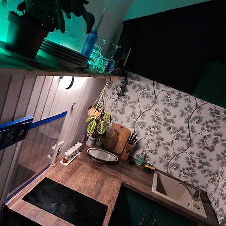 Vintage With Garden View Bratislava