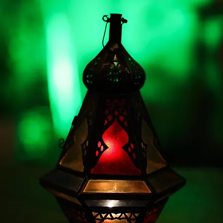 Vintage With Garden View Apartment