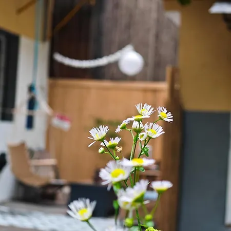 Apartment Vintage With Garden View *