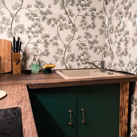 Vintage With Garden View Apartment *