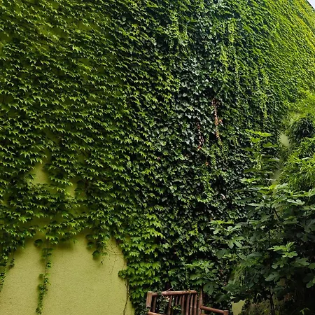 Apartment Vintage With Garden View